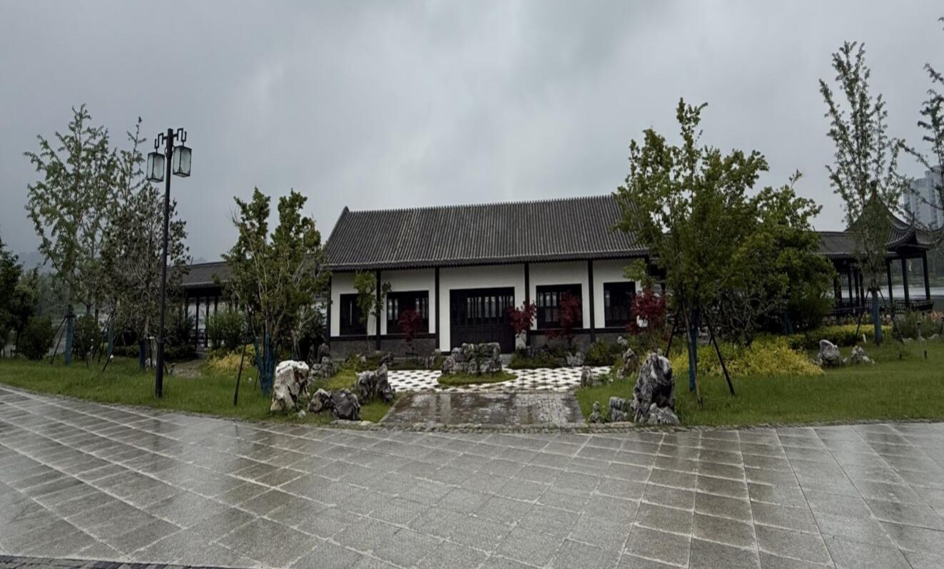 IMG_20250521_100825.jpg IMG_20250521_100825.jpg